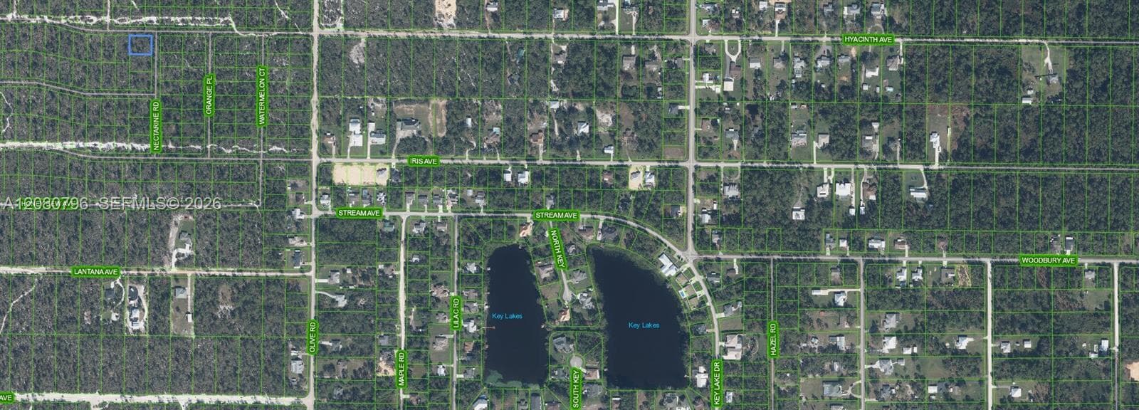 1303 Hyacinth Ave, Sebring FL 32303