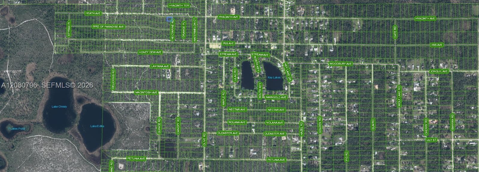 1303 Hyacinth Ave, Sebring FL 32303