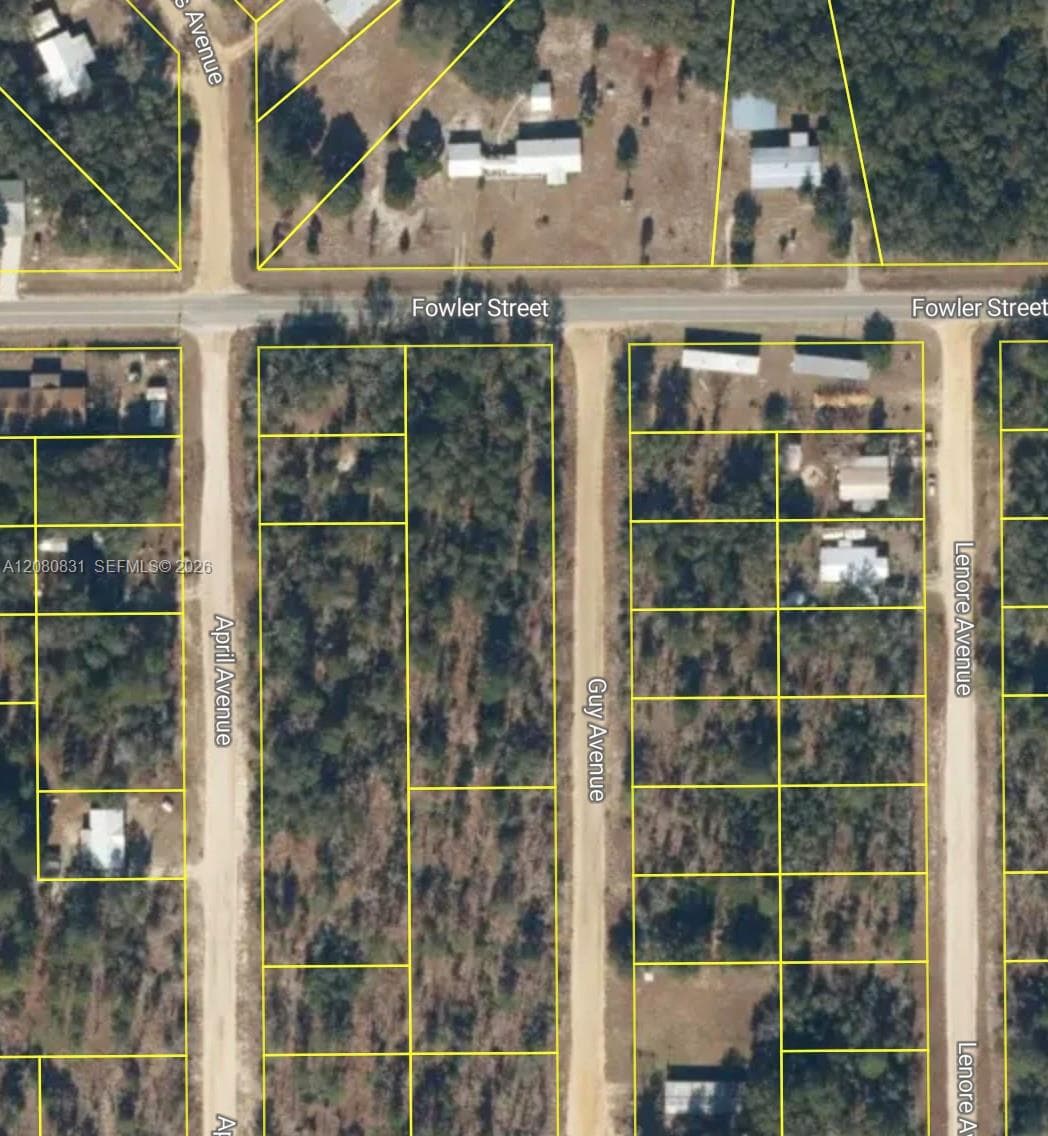0 Guy Avenue, Other City - Not In The State Of Florida FL 32148