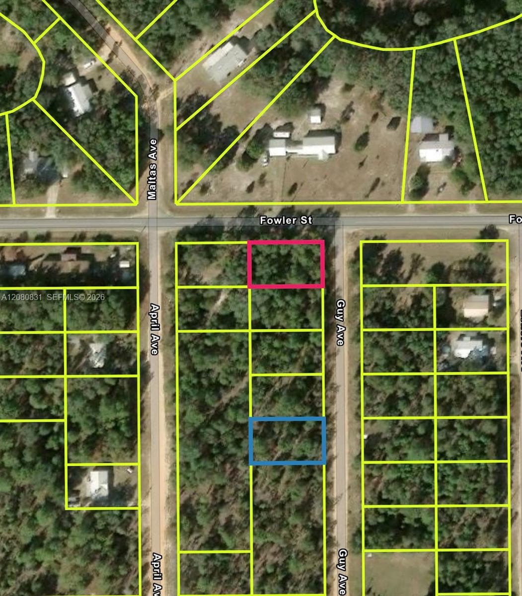 0 Guy Avenue, Other City - Not In The State Of Florida FL 32148