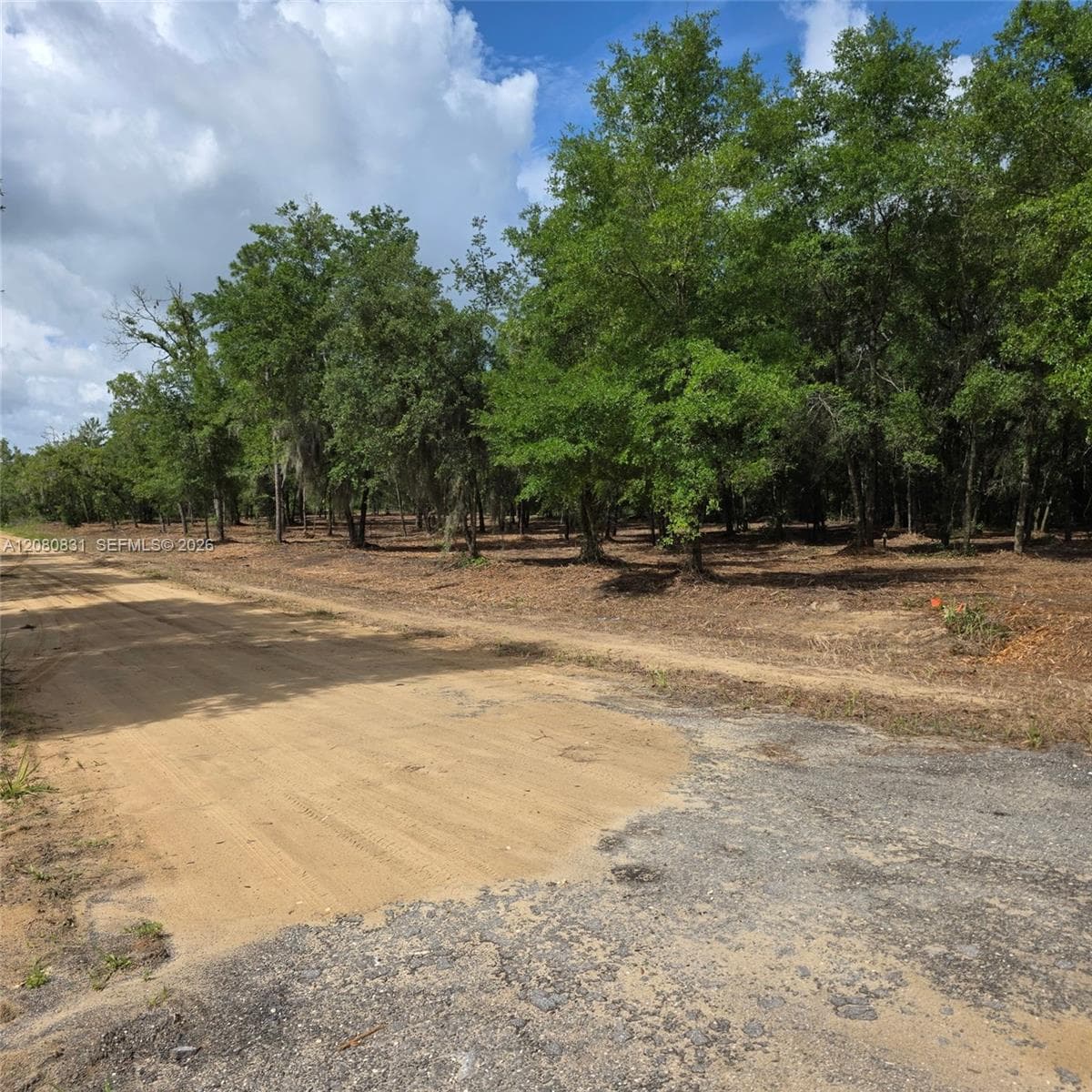 0 Guy Avenue, Other City - Not In The State Of Florida FL 32148
