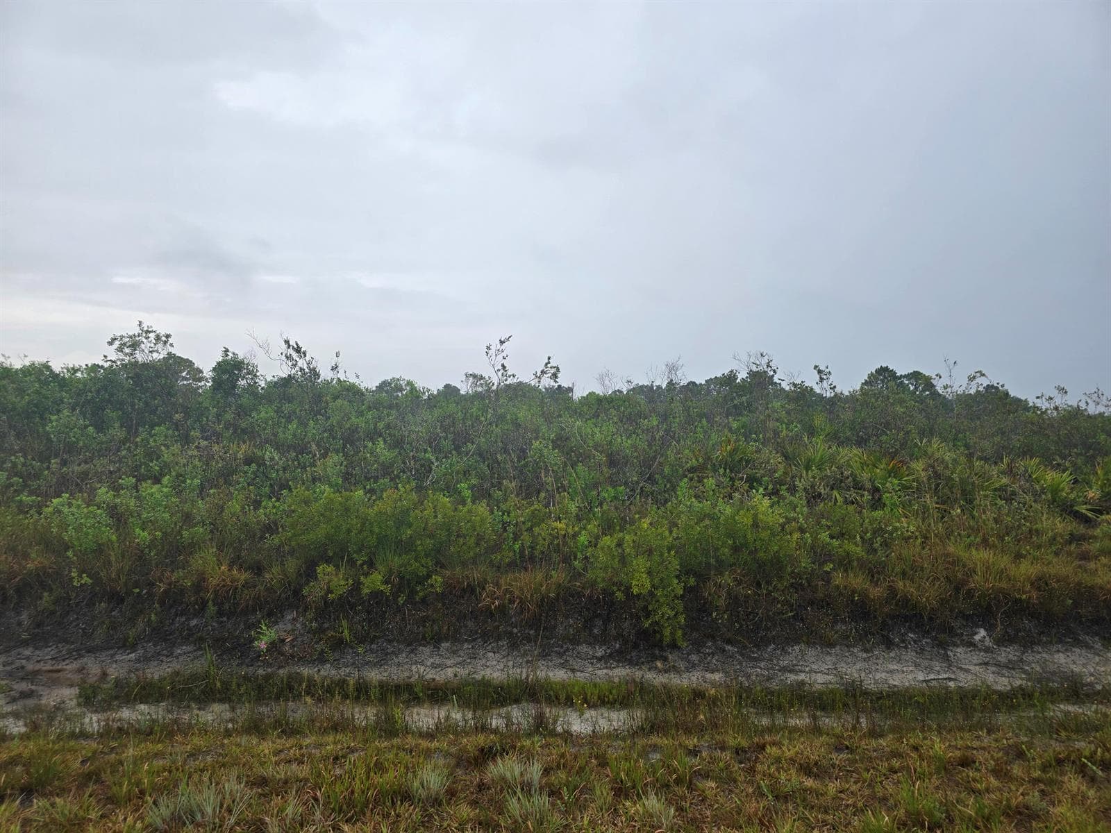 okeechobee 3