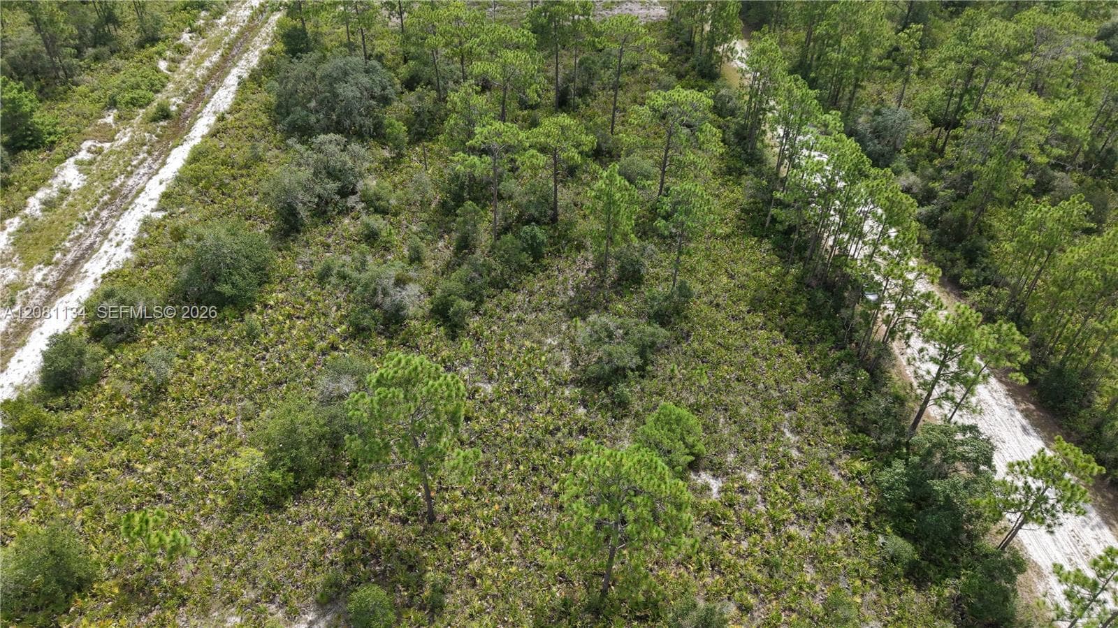 Eldorado Eldorado, Other City - In The State Of Florida FL 33855