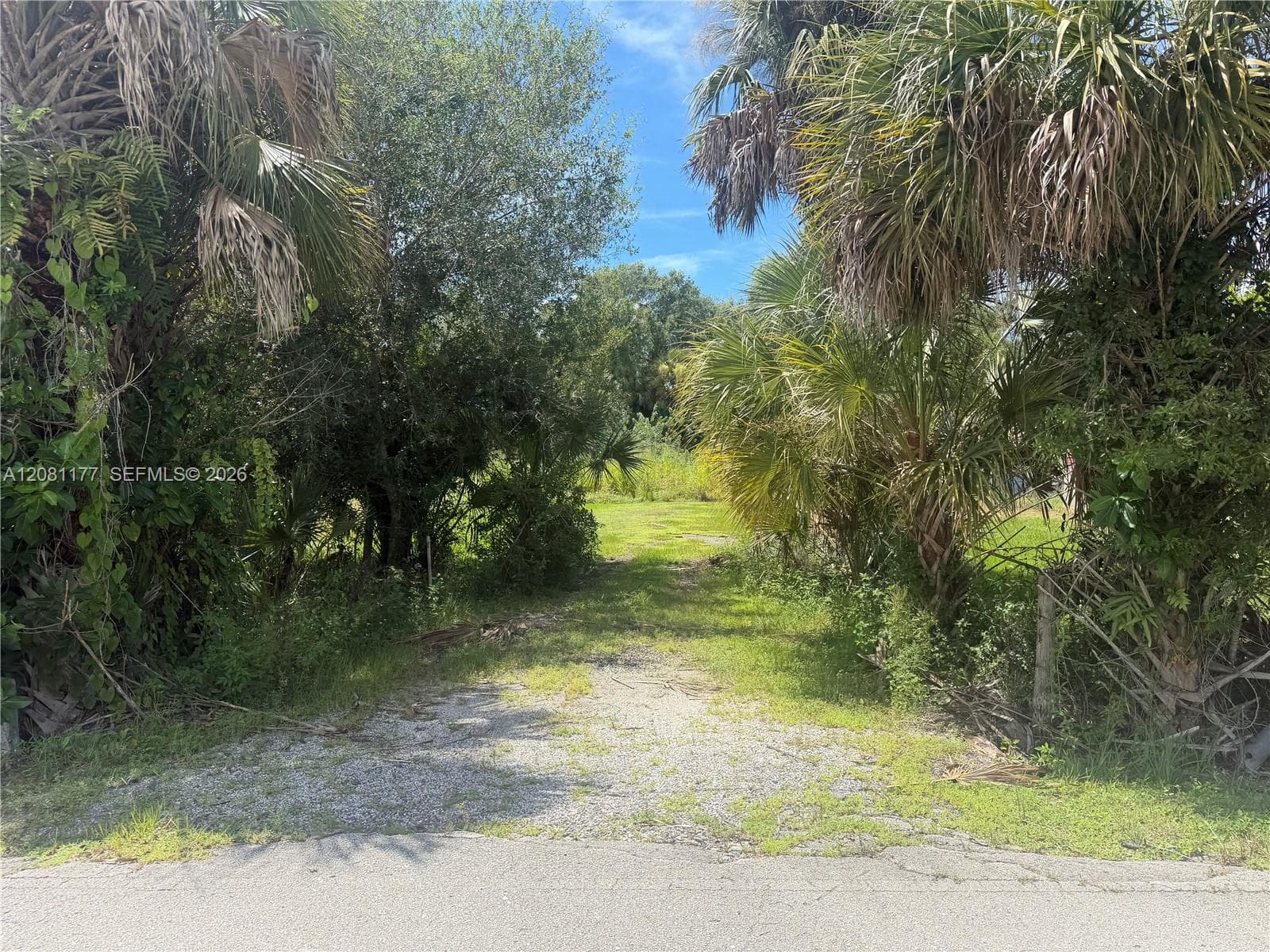 869 Avalon Ave, La Belle FL 33935