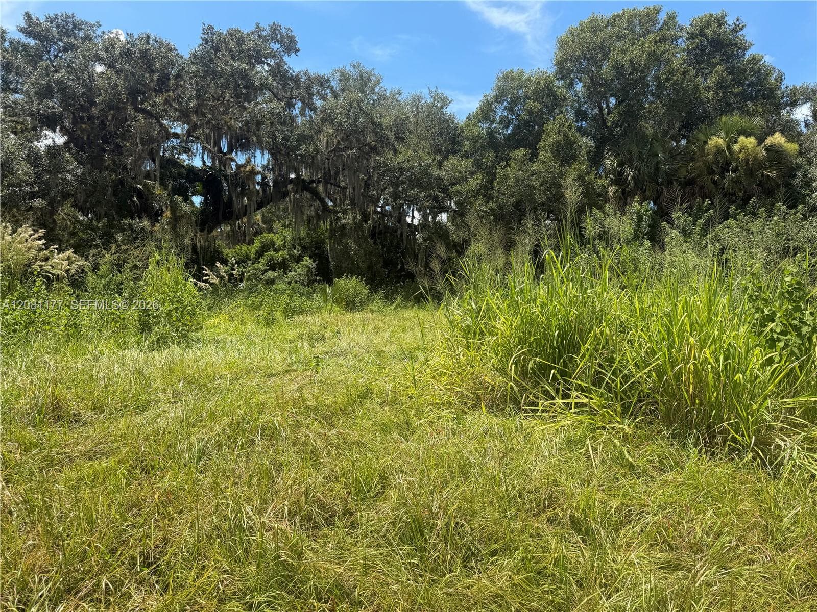 869 Avalon Ave, La Belle FL 33935
