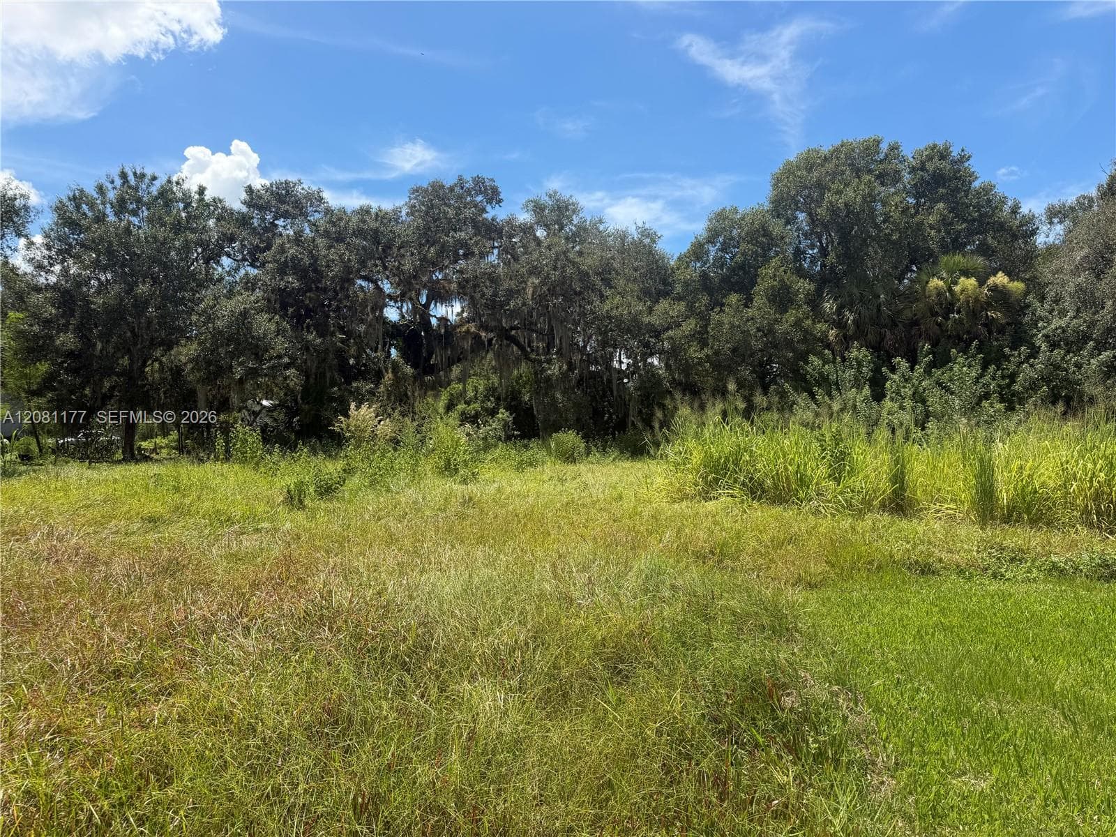 869 Avalon Ave, La Belle FL 33935