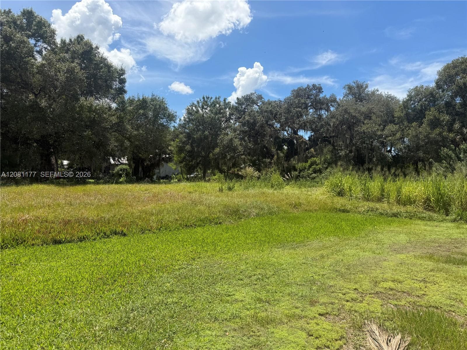 869 Avalon Ave, La Belle FL 33935