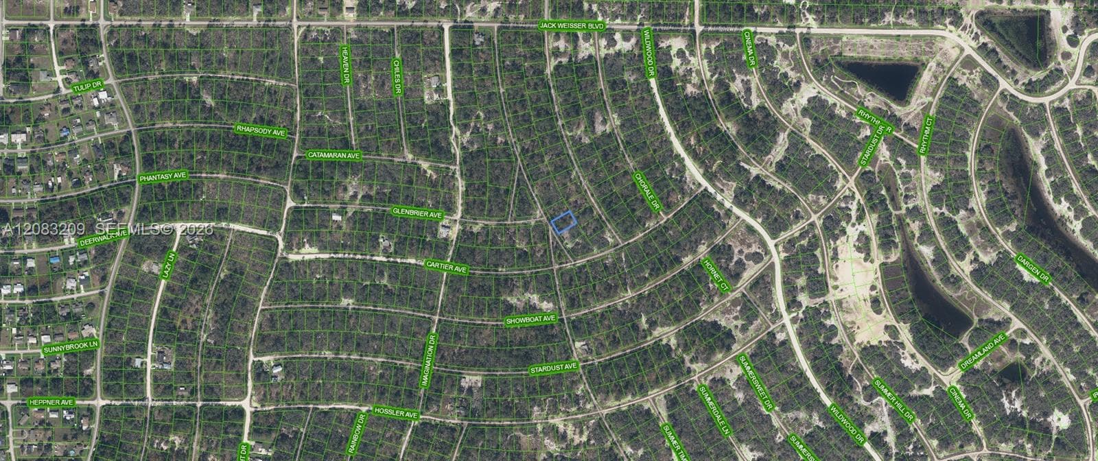 379 Blue Horizon Drive, Lake Placid FL 33852