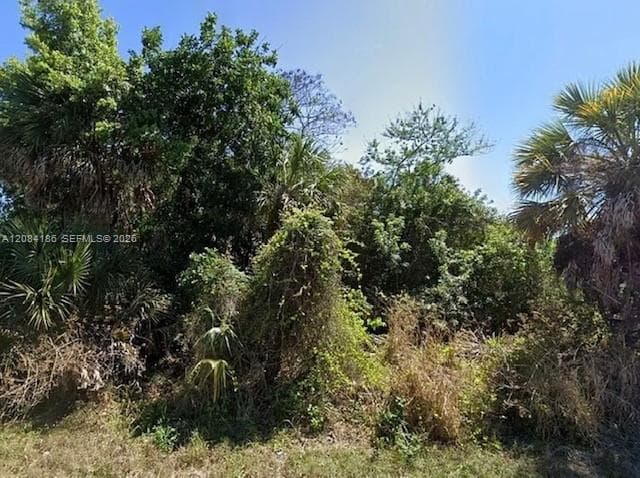 517 FAIRVIEW AVE, Port Charlotte FL 33952