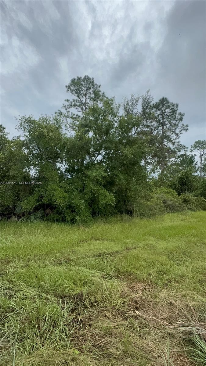 1345 Sable Palm, Other City - In The State Of Florida FL 32709