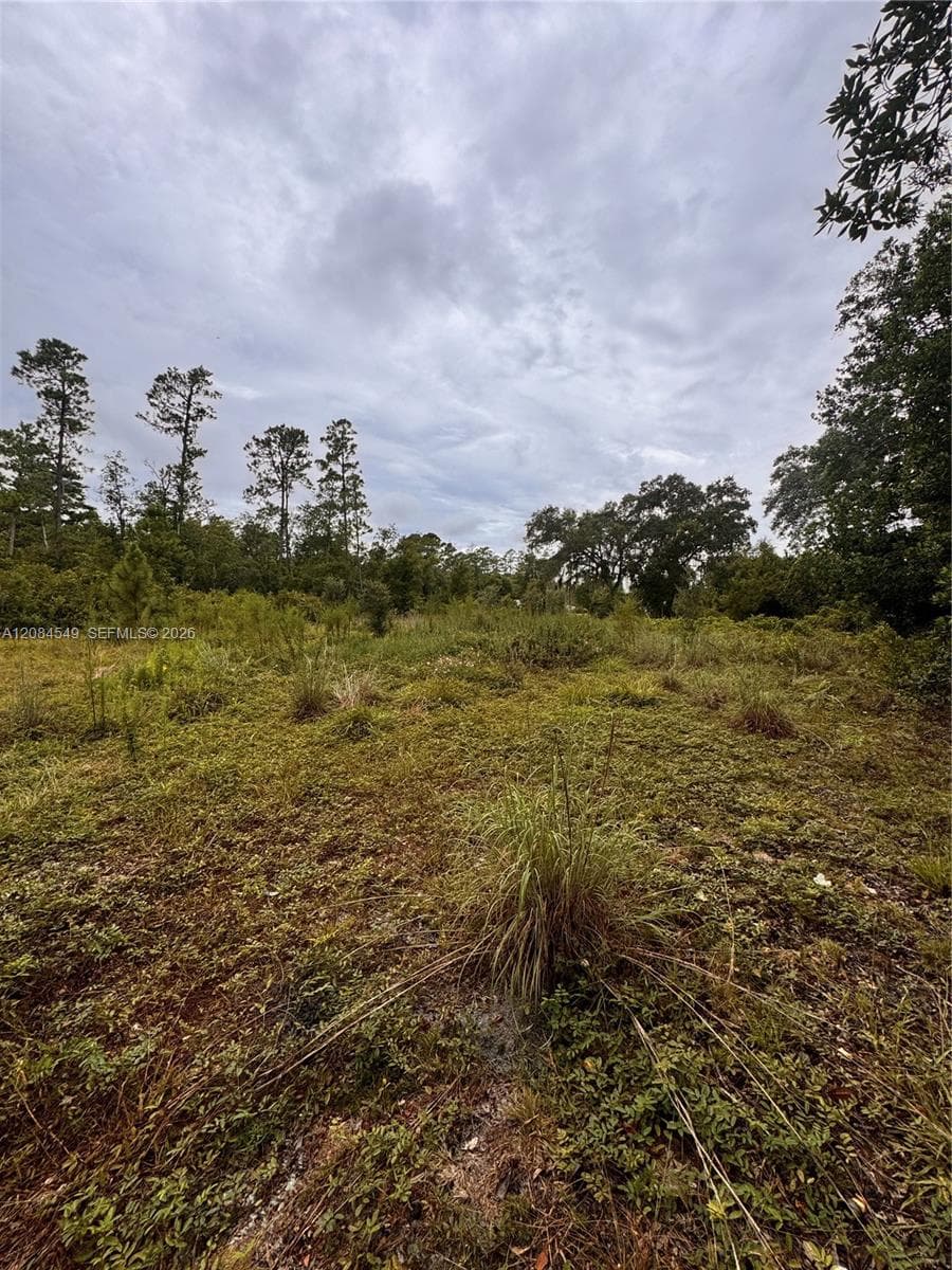 1345 Sable Palm, Other City - In The State Of Florida FL 32709