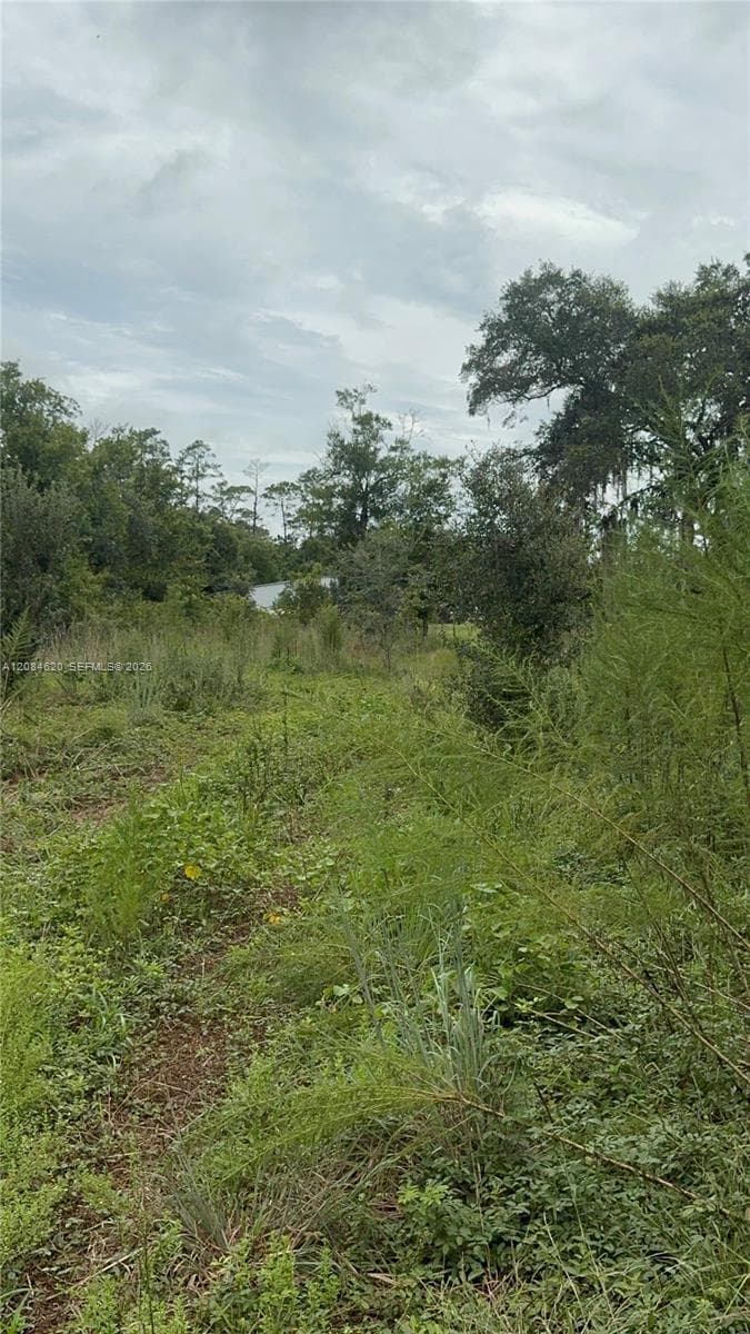 1219 Sable Palm, Other City - In The State Of Florida FL 32709