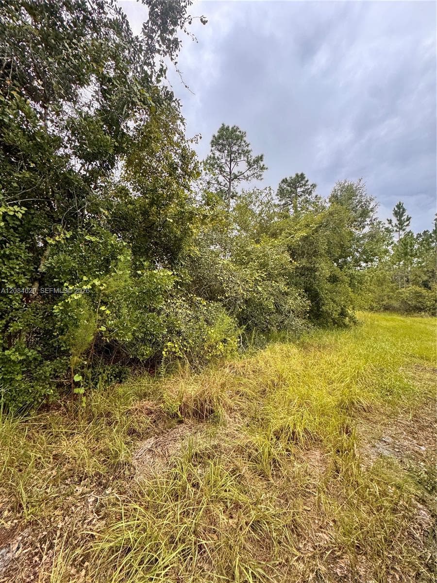 1219 Sable Palm, Other City - In The State Of Florida FL 32709