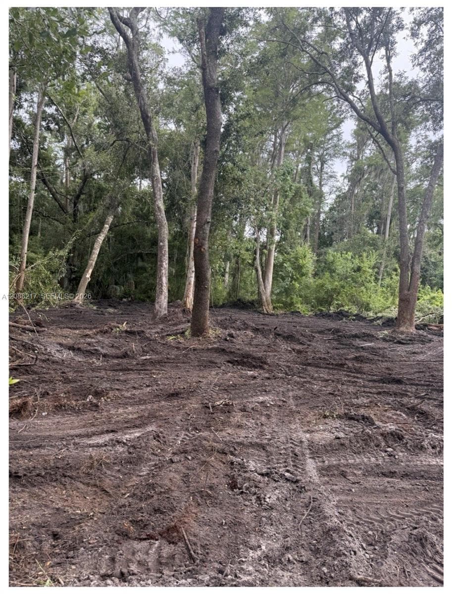 3 Anno Street, Other City - In The State Of Florida FL 33625