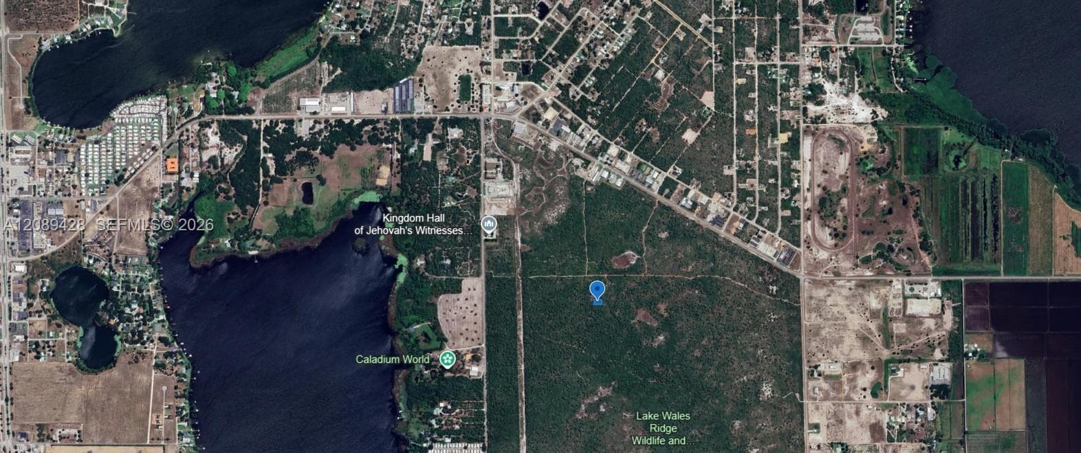 305 Dolly Lane, Lake Placid FL 33852