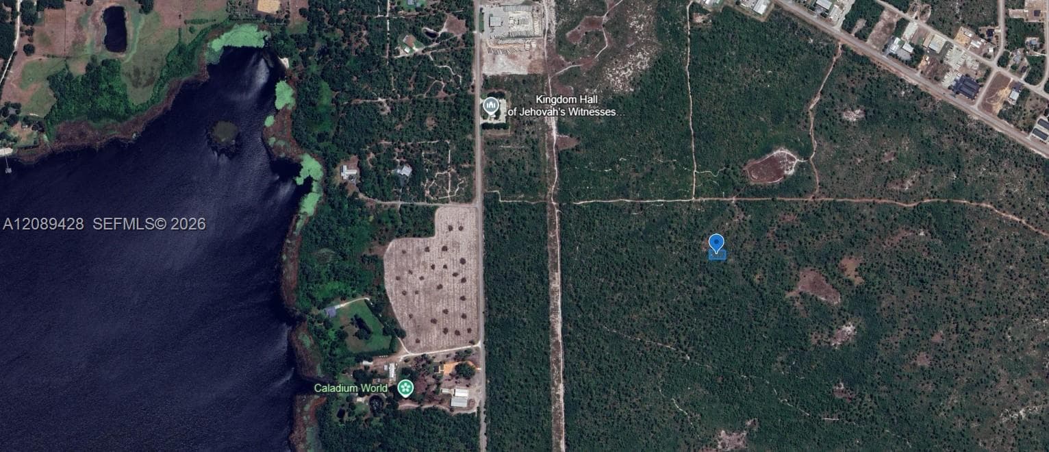 305 Dolly Lane, Lake Placid FL 33852