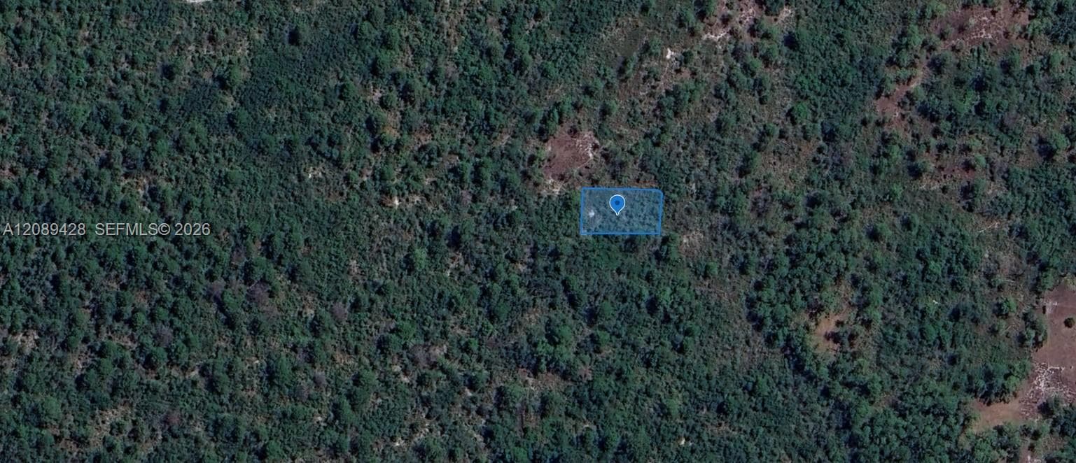 305 Dolly Lane, Lake Placid FL 33852
