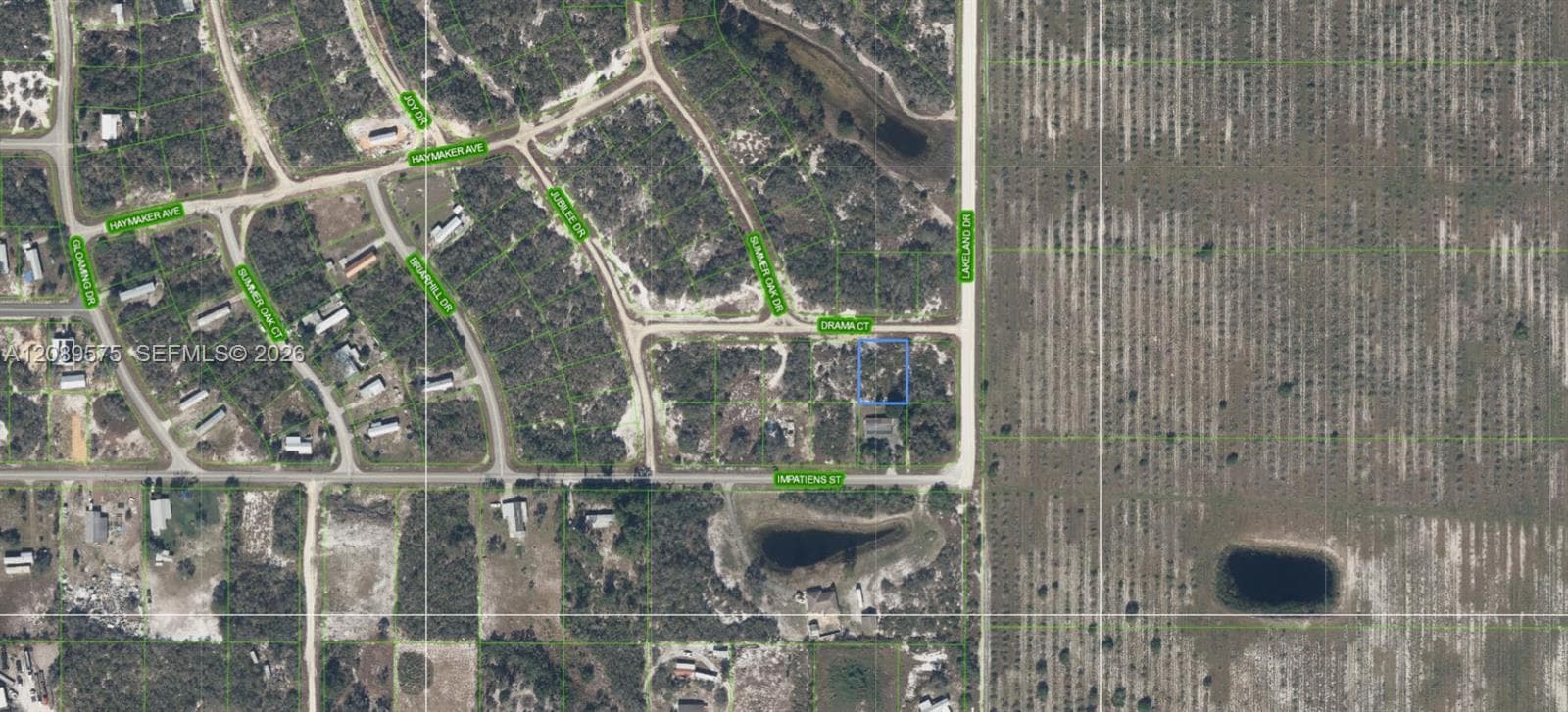 509 Drama Court, Lake Placid FL 33852
