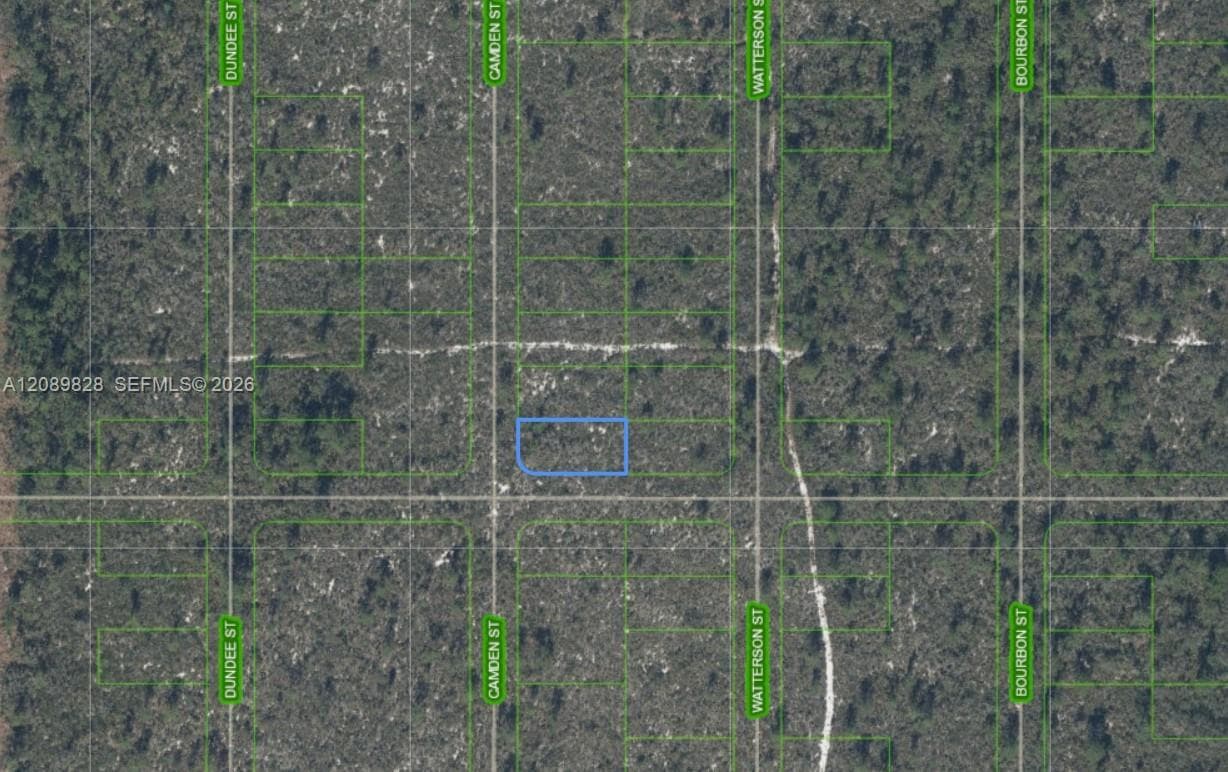 701 CAMDEN ST, Lake Placid FL 33852