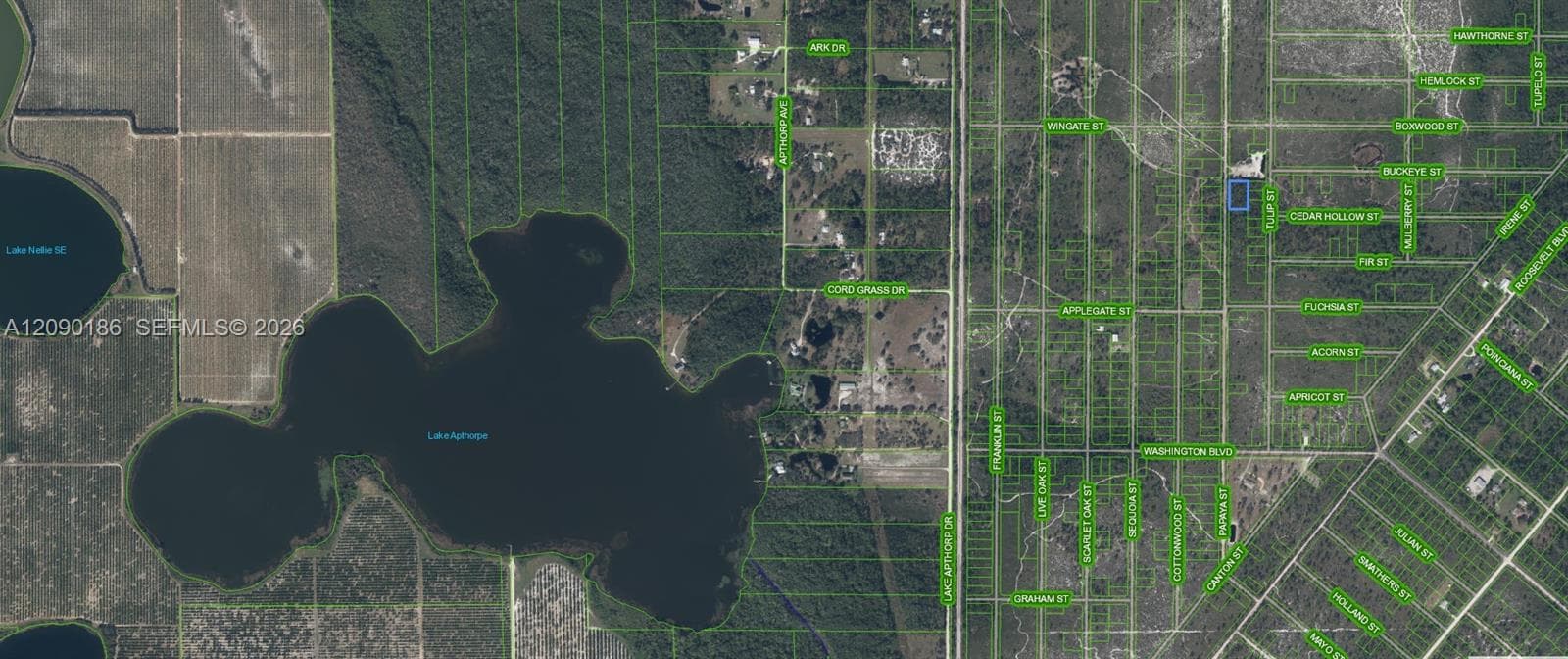 881 Papaya Street, Lake Placid FL 33852