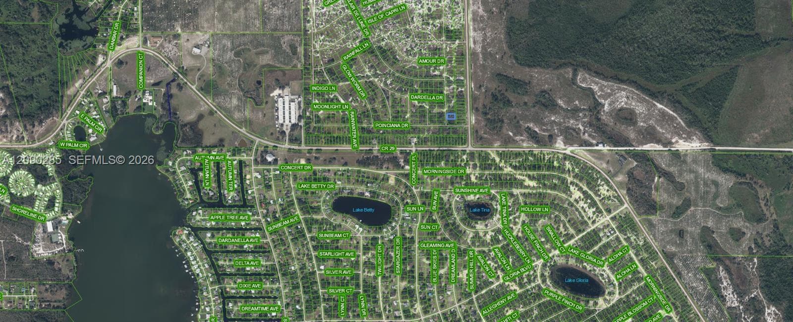 1192 Ebbtide Ave, Lake Placid FL 33852