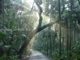 1507 Lindberg Ave, Lake Placid FL 33872
