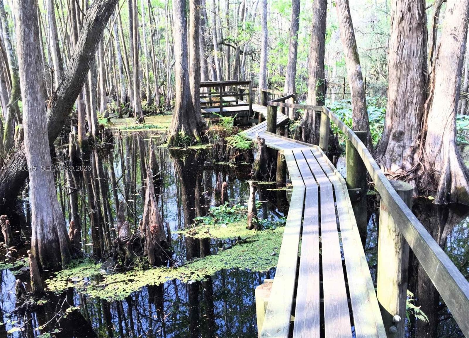 1507 Lindberg Ave, Lake Placid FL 33872