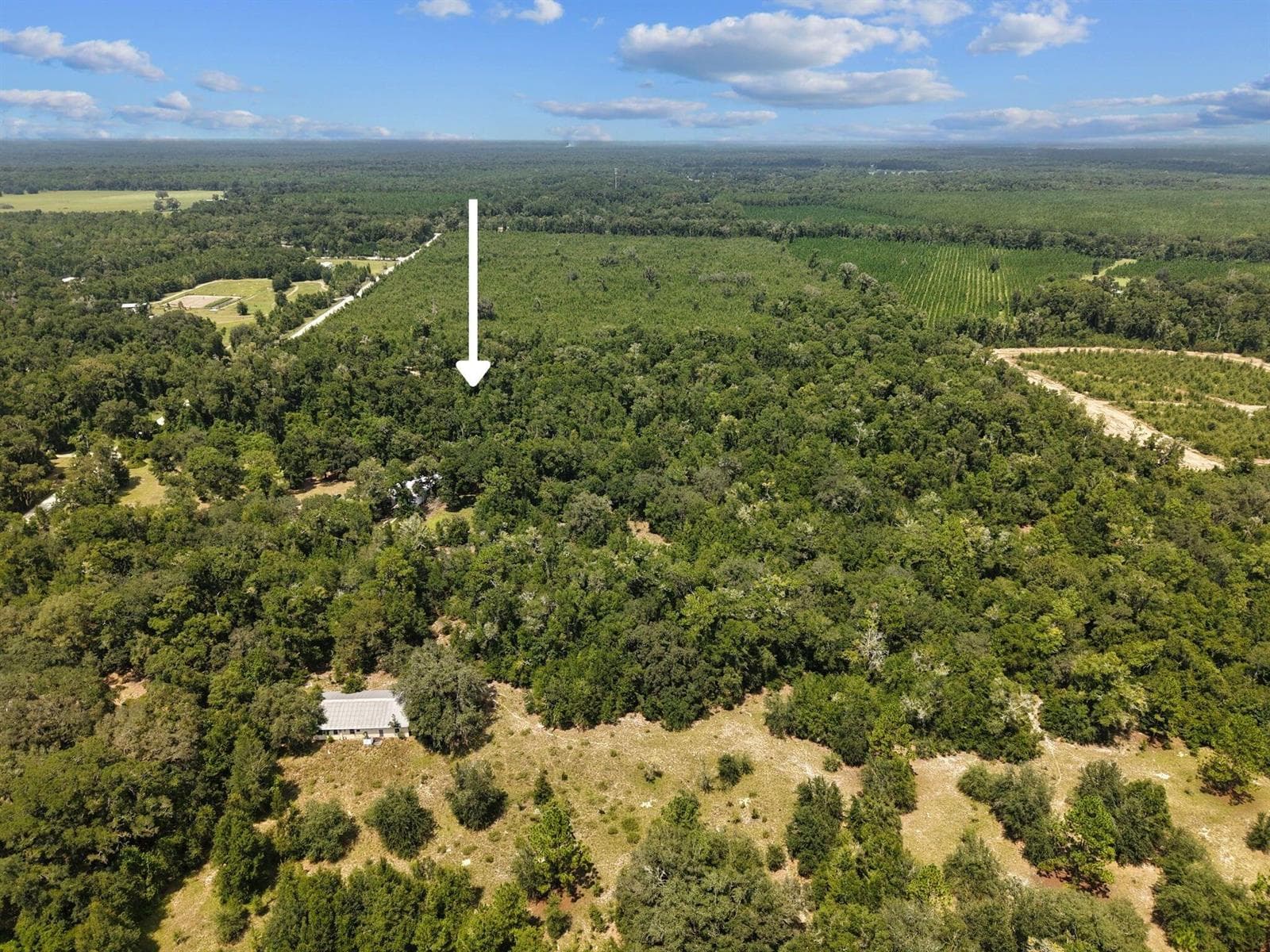 Aerial3