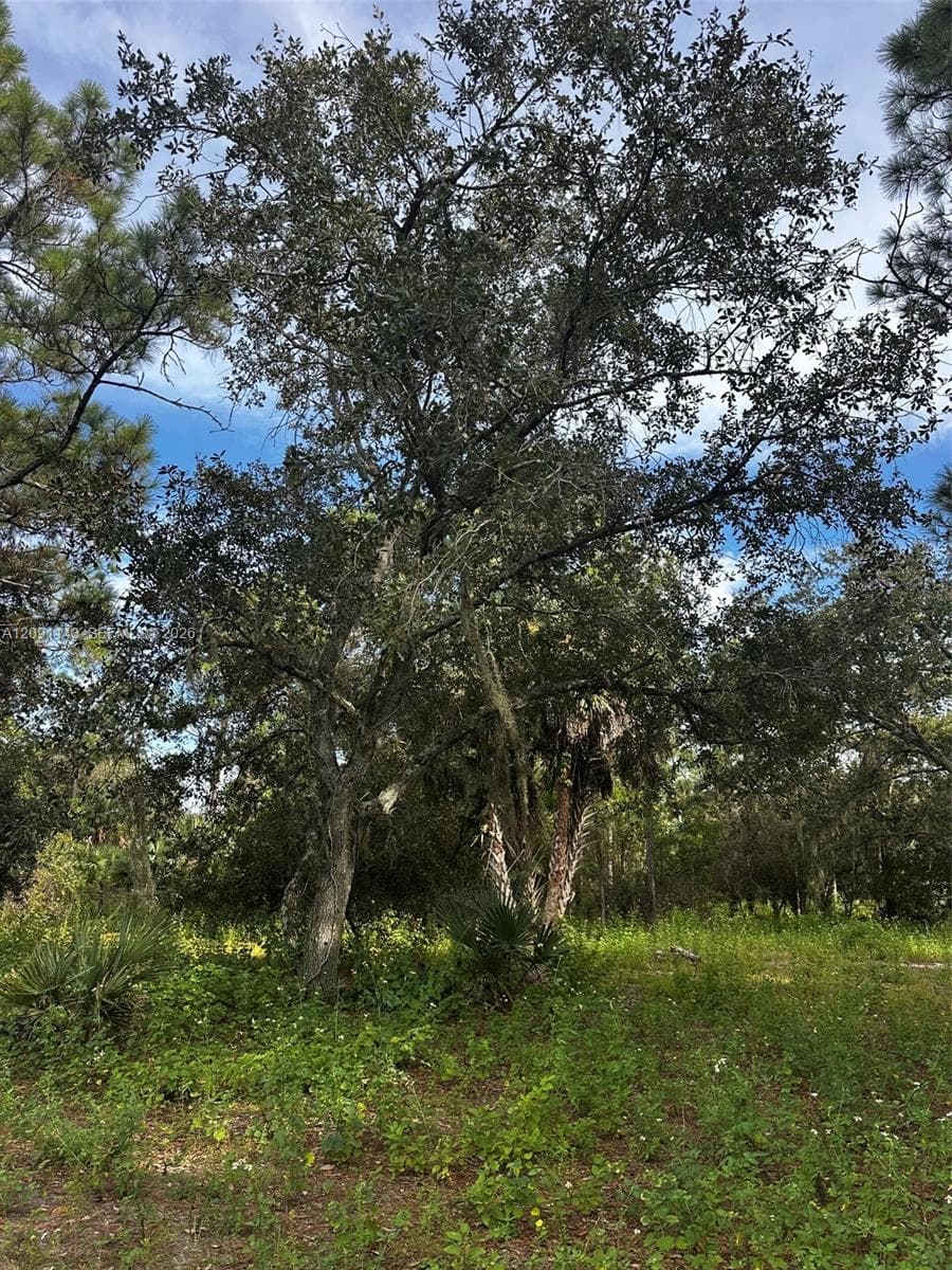 123 Pine Lake Ave, Clewiston FL 33440