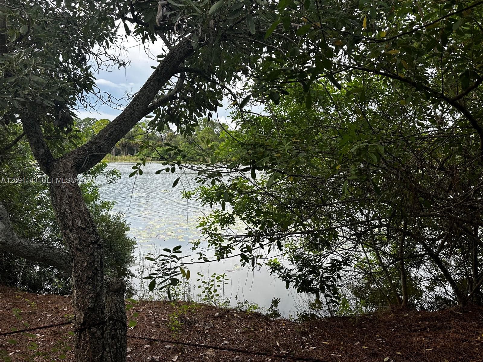 123 Pine Lake Ave, Clewiston FL 33440