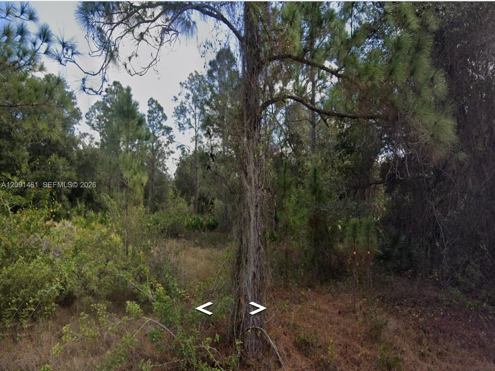 1312 Irving ave, Lehigh Acres FL 33972