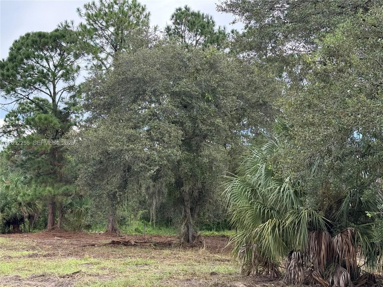 380 S LINDERO ST, Clewiston FL 33440
