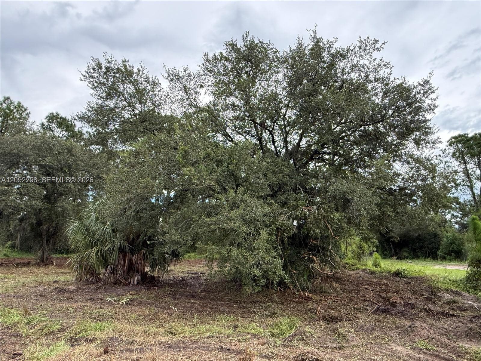 380 S LINDERO ST, Clewiston FL 33440