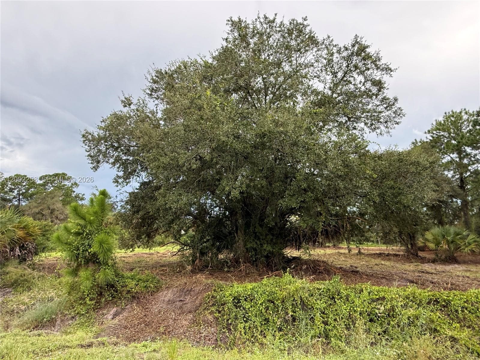 380 S LINDERO ST, Clewiston FL 33440