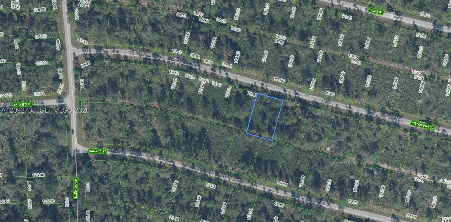 8637 Primavera Street, Sebring FL 33872