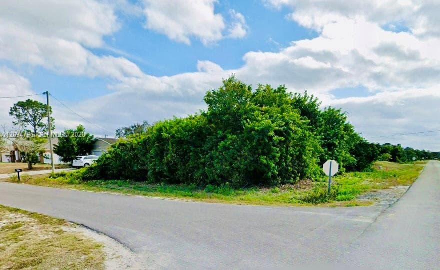 2919 11TH ST SW, Lehigh Acres FL 33976