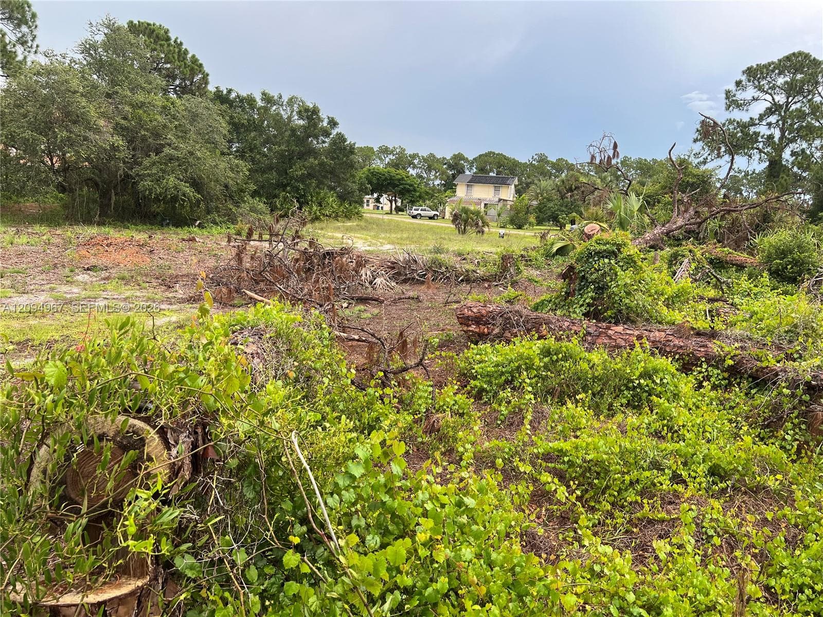 Ground-level view of the property highlighting the spacious homesite and surrounding residential neighborhood.