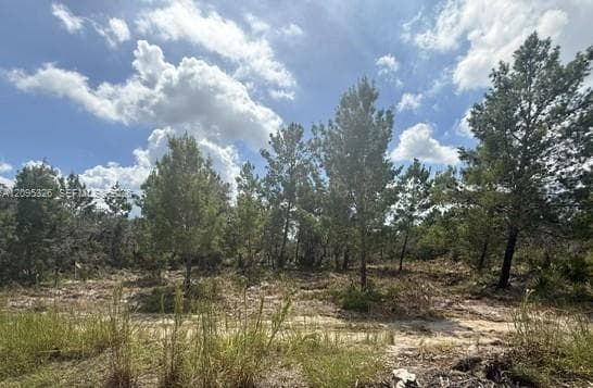 206 Oriole Avenue, Sebring FL 33870