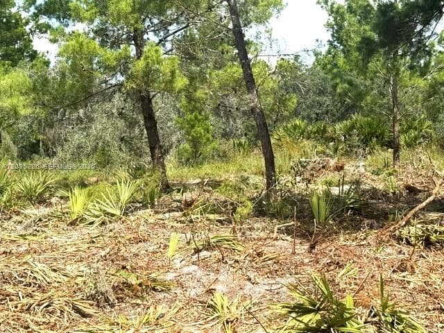 206 Oriole Avenue, Sebring FL 33870