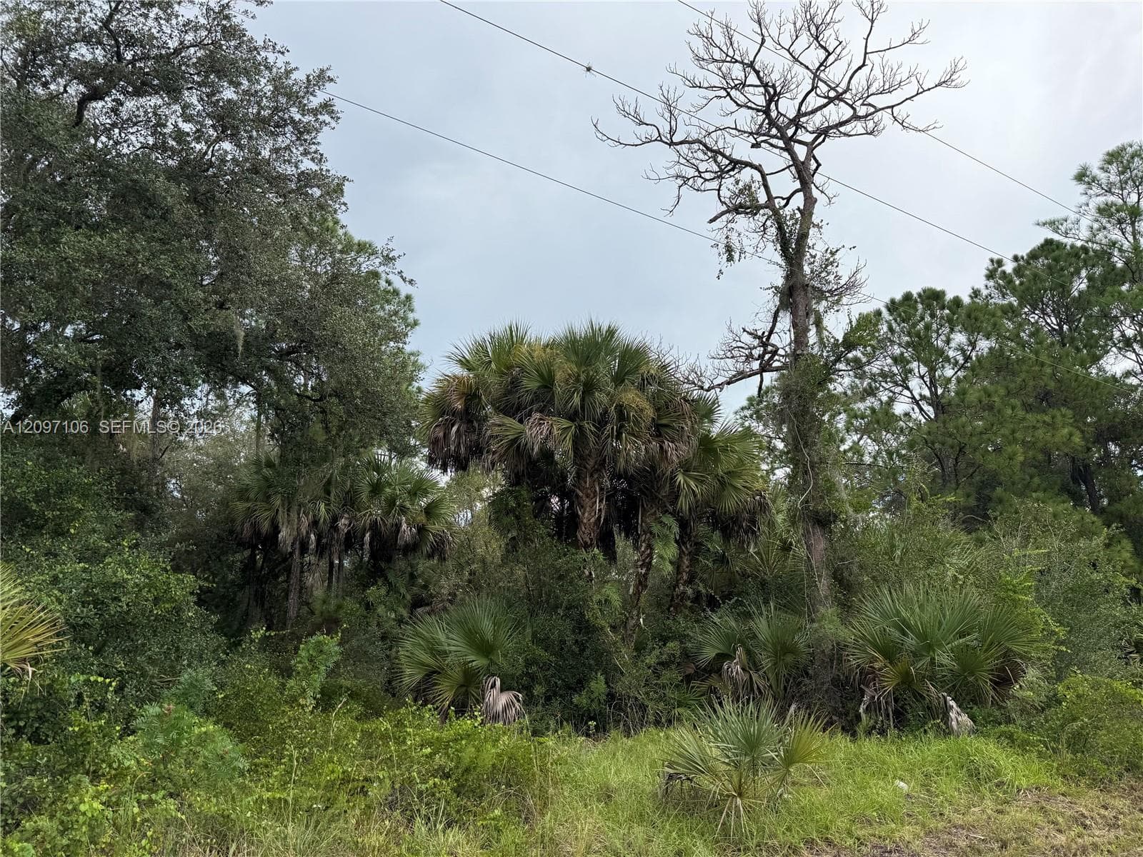 530 S GRANJA ST, Clewiston FL 33440