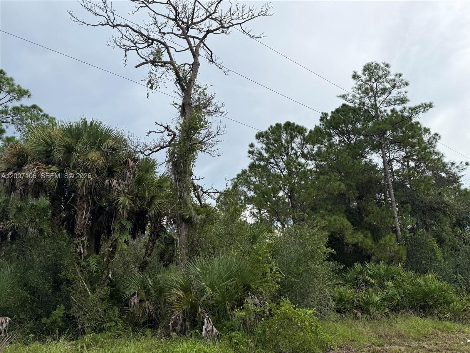 530 S GRANJA ST, Clewiston FL 33440