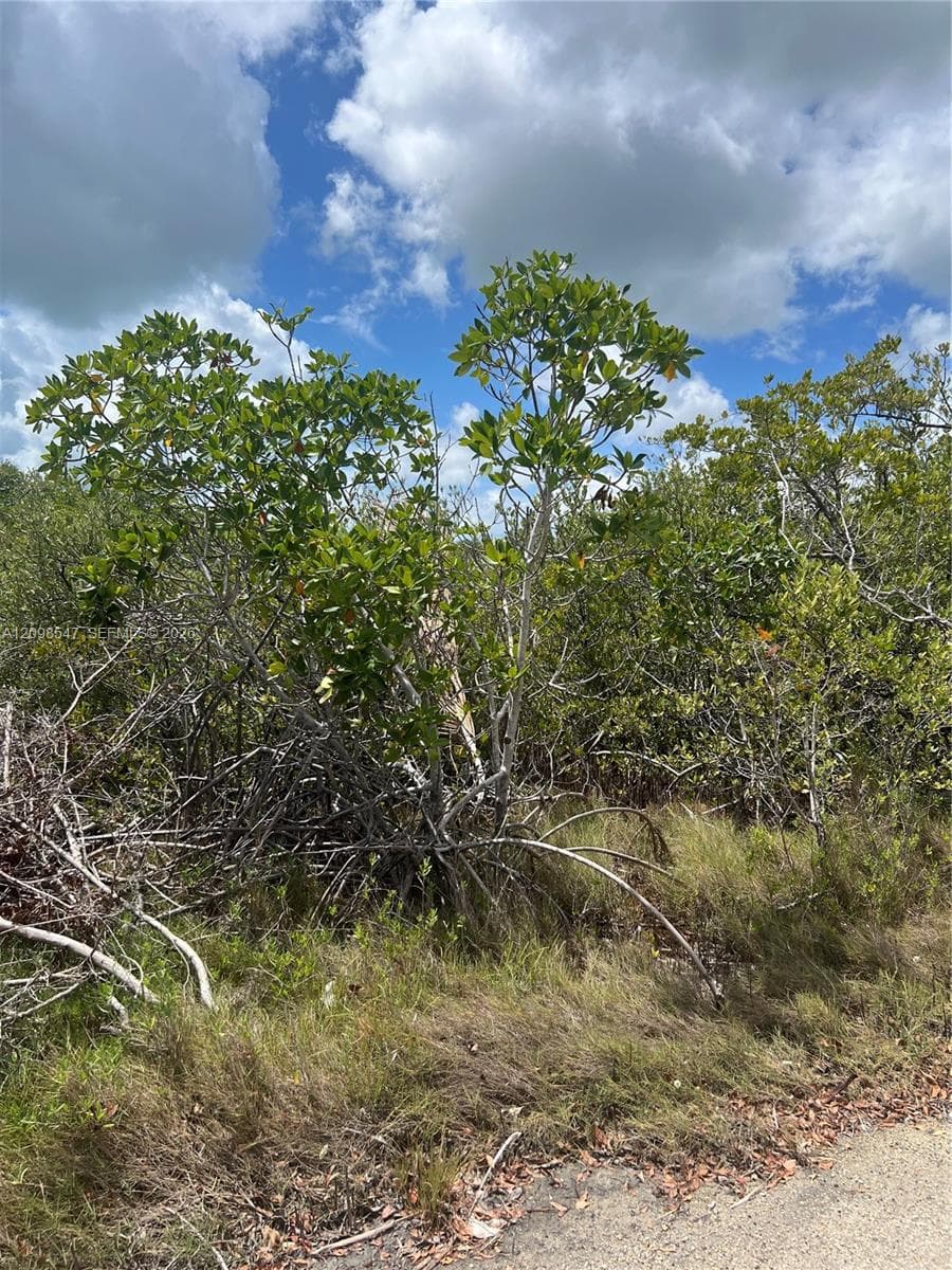 0 Gren Ln, Torch Key FL 33042